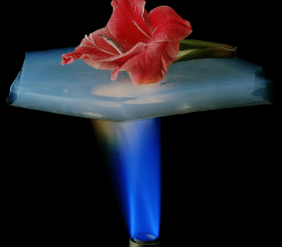 Aerogel flower